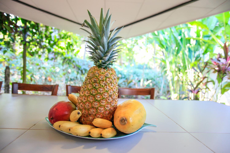 Food & Drinks 5, Casa Cecilia Beach Front, Puntarenas