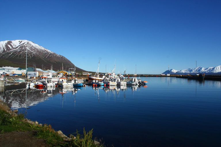 Others 4, Dalvik Hostel Gimli, Dalvíkurbyggð