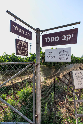Others 4, Mettler Winery