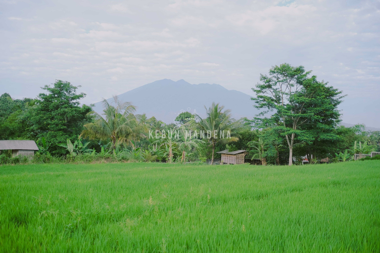 Exterior & Views 16
