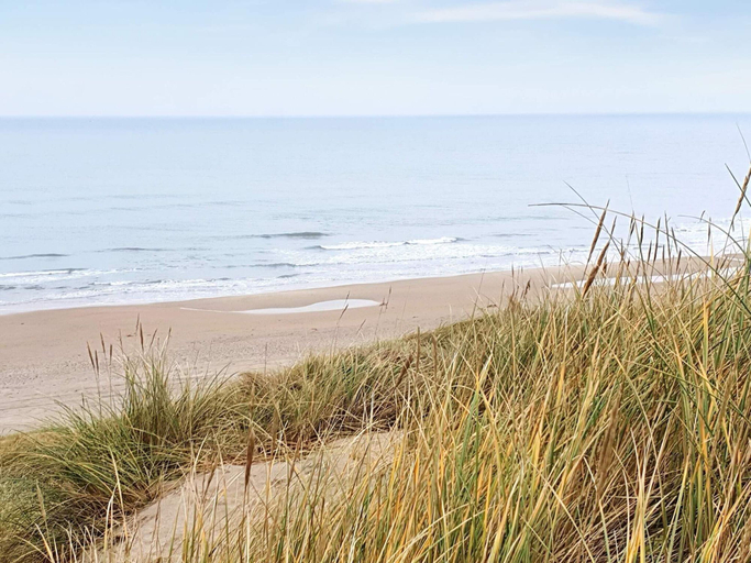 Others 5, 4 Star Holiday Home in Albaek, Frederikshavn