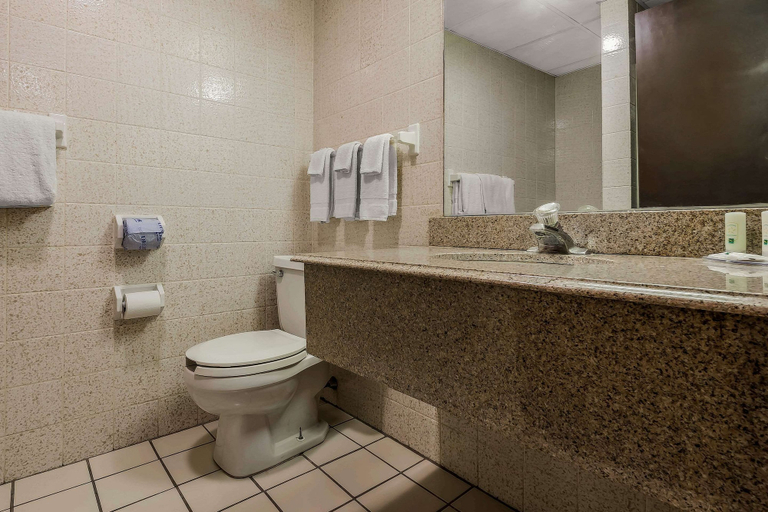 Bathroom 4, Quality Inn & Suites Binghamton Vestal, Broome