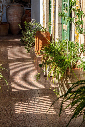 Others 5, Dar Hayder-la Medina, Sidi El Béchir