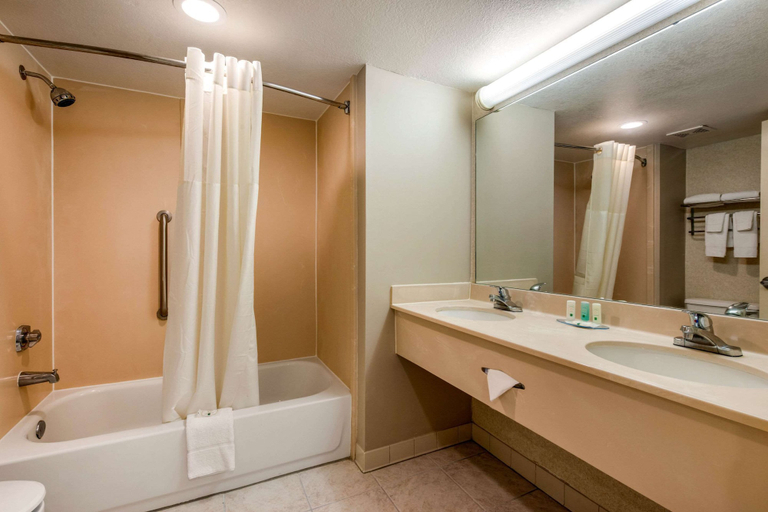 Bathroom 4, Quality Inn & Suites Tarpon Springs South, Pinellas