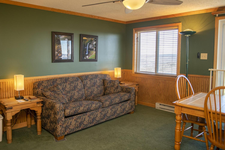 Others 3, ML 294 Ski-InOut Slope Views Steps to Ballhooter Sleeps 6, Pocahontas