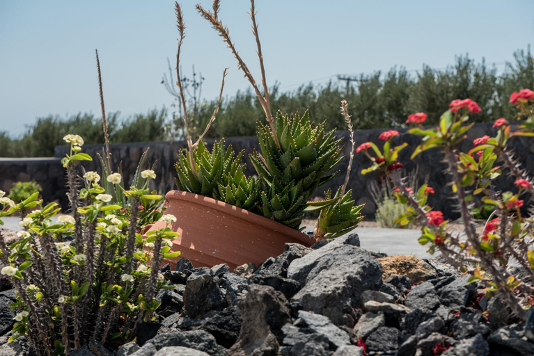 5, George Farm Land, South Aegean
