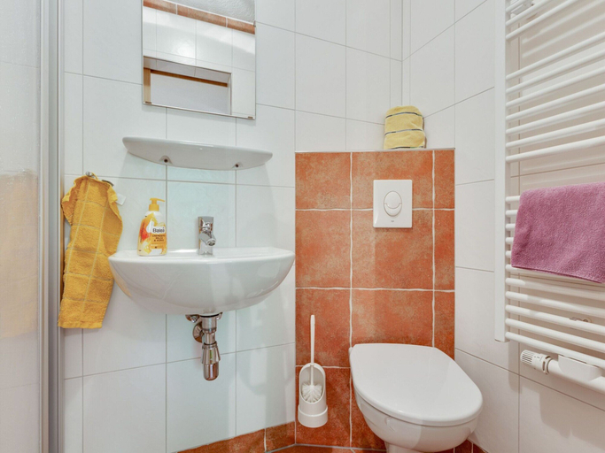 Bathroom 3, Apartment in Mittersill near Kitzbuhel Ski Area, Zell am See