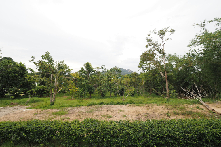 Others 4, The Box House, Mueang Krabi
