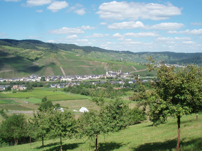 Others 4, Romantischer Aufenthalt mit Blick auf den Weinberg, Bernkastel-Wittlich