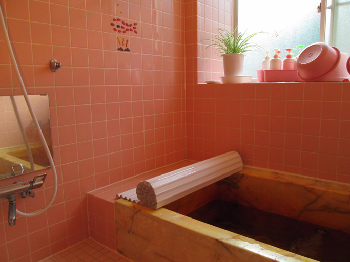 Bathroom 5, Pension Rapan, Katashina