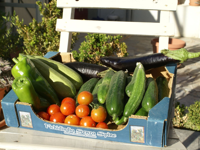 Food & Drinks 4, Holiday Home With Garden in Kritinia, South Aegean