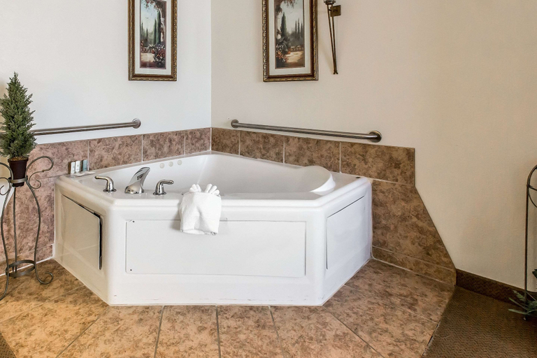 Bathroom 4, Quality Inn & Suites, Texas
