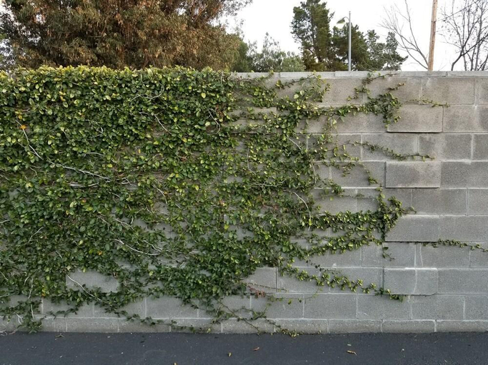 4, Palo Alto Lodge, Santa Clara