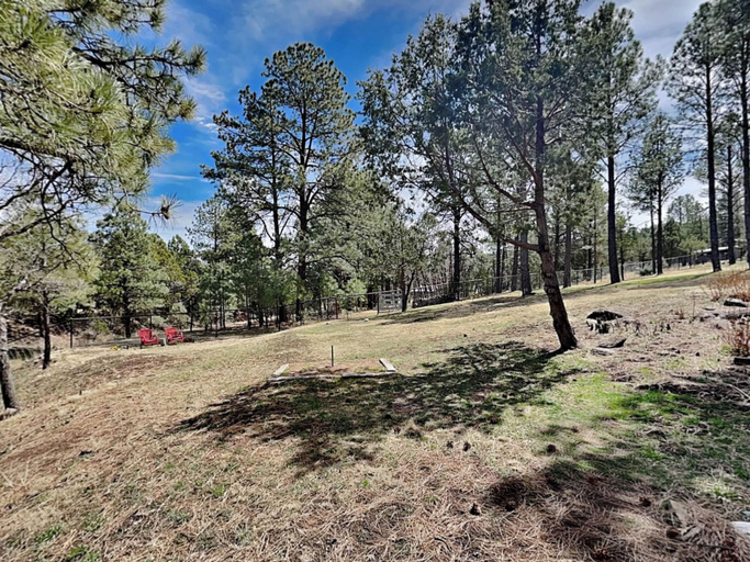 Others 4, Double Eagle Manor by Ruidoso Vacation Rentals, Lincoln