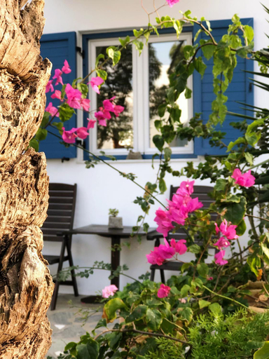 Others 4, Matina Hotel, South Aegean