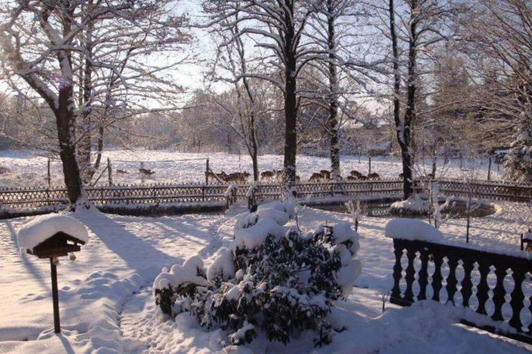 Others 4, Holiday Home in Saxony With Private Terrace, Erzgebirgskreis