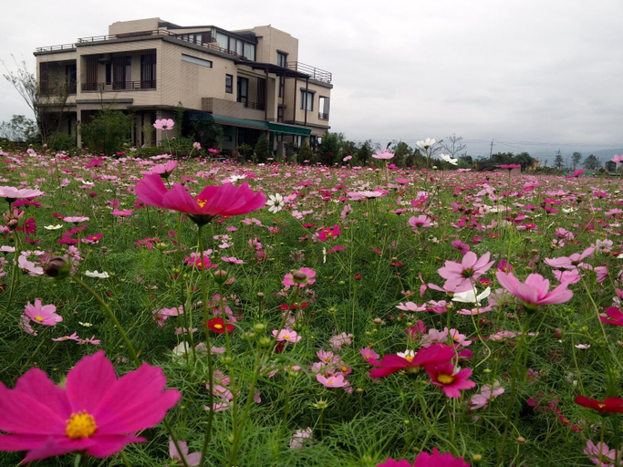 Others 4, Dragon Fly Bed and Breakfast, Yilan
