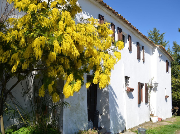 Exterior & Views 2, Cottage in Montefiore Near Forest and Beach, Rimini