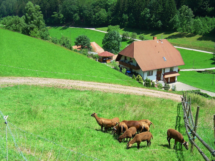 Others 3, Apartment in Hofstetten Surrounded by Nature, Ortenaukreis