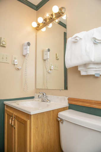 Others 5, ML 294 Ski-InOut Slope Views Steps to Ballhooter Sleeps 6, Pocahontas