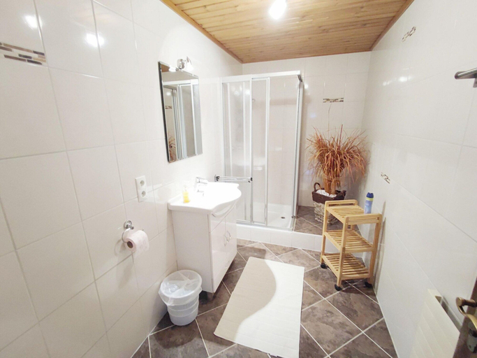 Bathroom 2, Chalet in Hippach Near Ski Paradise, Schwaz