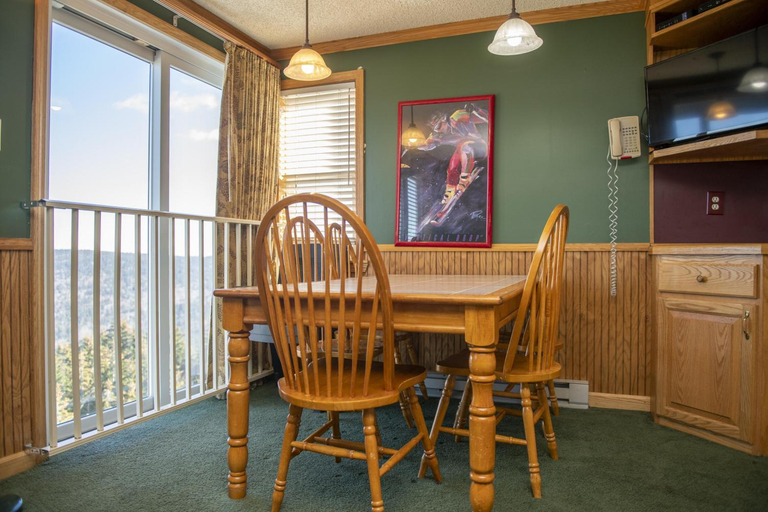 Others 4, ML 294 Ski-InOut Slope Views Steps to Ballhooter Sleeps 6, Pocahontas