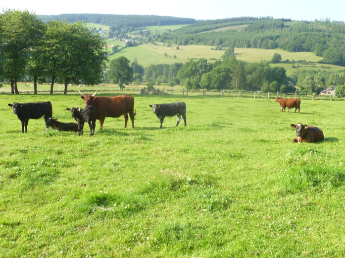 Others 5, Ardennic Farmhouse for Groups, Luxembourg