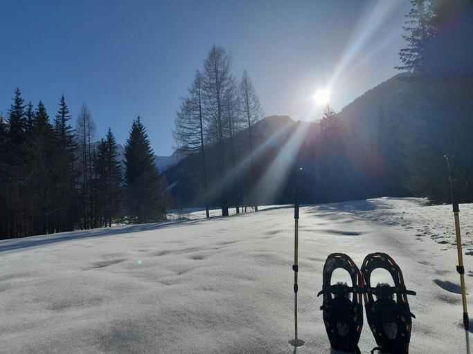 Others 5, Secluded Apartment in Ferlach near Bodental Ski Lift, Klagenfurt Land