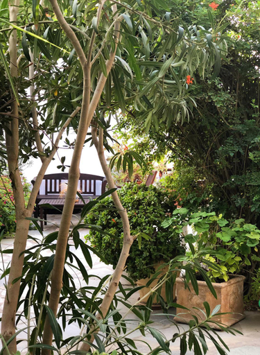 Others 5, Matina Hotel, South Aegean