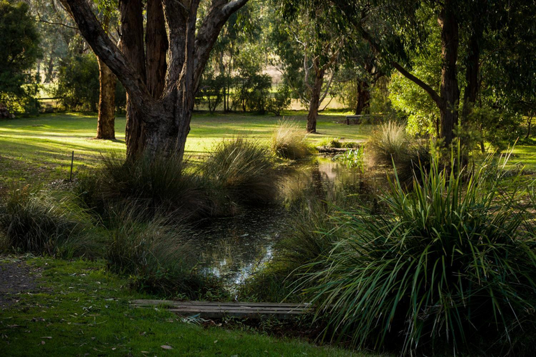 Others 5, The Burrow at Wombat Bend, Yarra Ranges - North