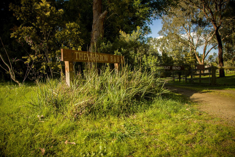 Others 5, The Burrow at Wombat Bend, Yarra Ranges - North