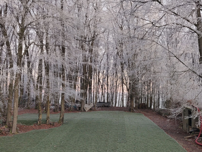 Exterior & Views 5, New house on the edge of a large forest, large garden,very quiet, beautiful area, Namur