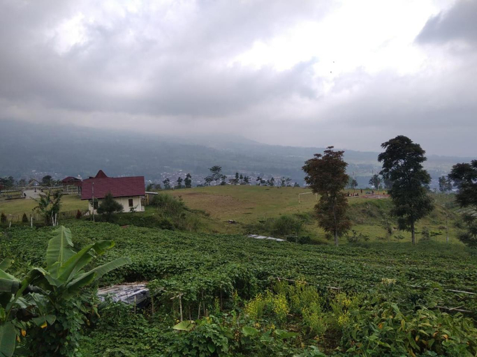 Others 4, RR Homestay Seroja, Wonosobo