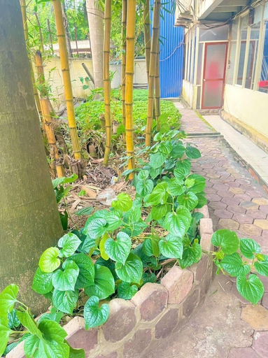 Others 4, Hoang Mam Hotel, Thái Nguyên