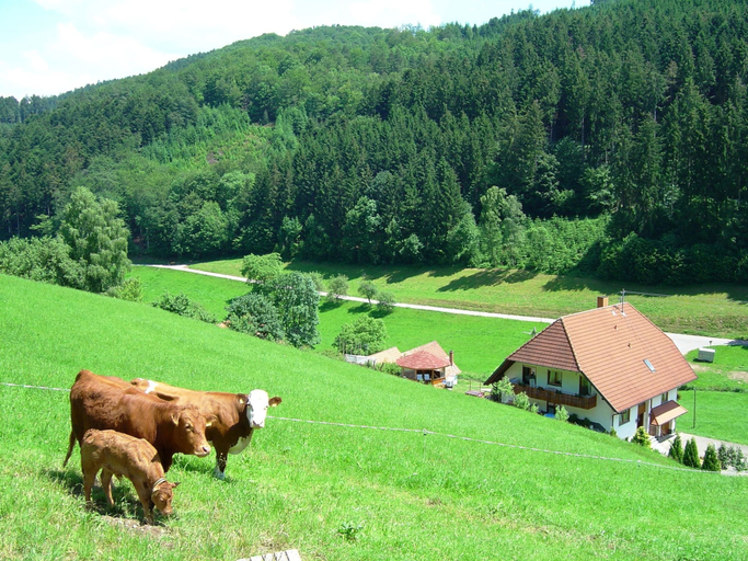 Others 5, Apartment in Hofstetten Surrounded by Nature, Ortenaukreis