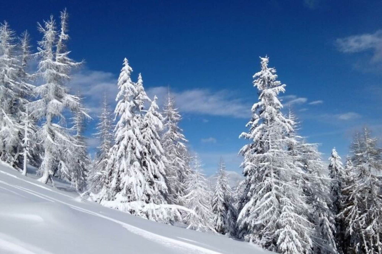 View from property 3, Holiday Home in Bad Kleinkirchheim, Spittal an der Drau