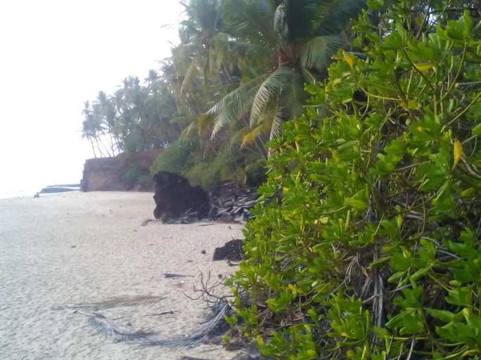 Others 4, Ivorycoast'e, Kannur