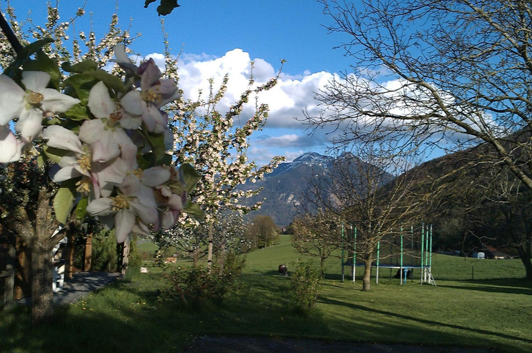 Others 2, Hoderhof, Traunstein