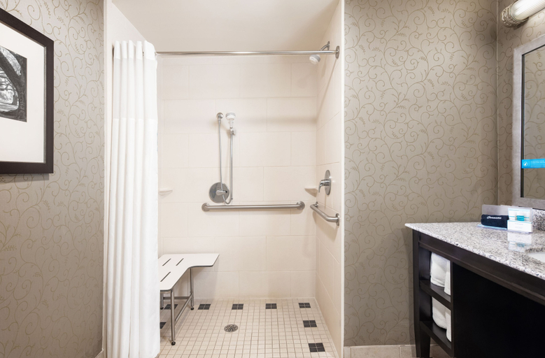 Bathroom 4, Hampton Inn & Suites Baton Rouge Downtown, East Baton Rouge