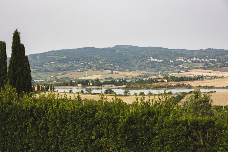 Others 3, Le Fraine Agriturismo & Olives Glamping, Pisa