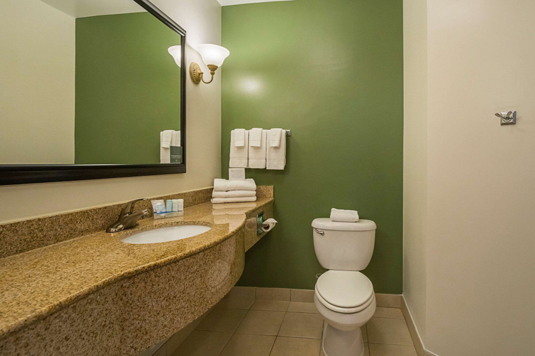Bathroom 4, Sleep Inn & Suites Manchester near Arnold AFB, Coffee