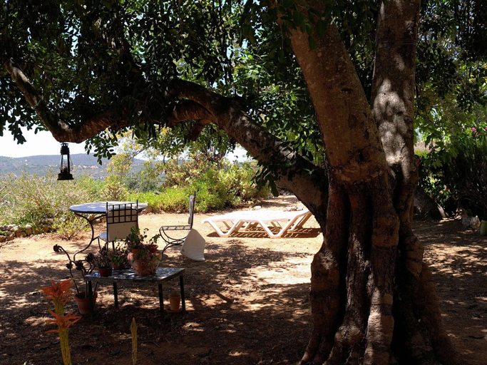 Garden 2, House With a Shared Swimming Pool in the Algarve, Loulé