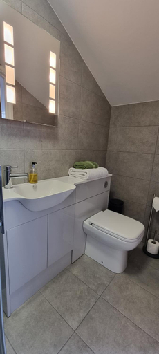 Bathroom 1, LLety Cynin, Carmarthenshire