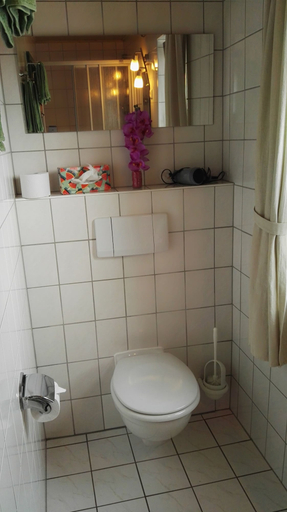 Bathroom 5, Radler-Scheune Thüringen, Gotha