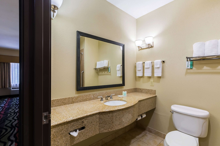 Bathroom 4, Comfort Suites Beaumont I-10, Jefferson