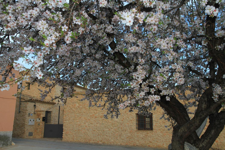 Others 3, Alojamientos Rurales Cortijo Las Golondrinas, Murcia