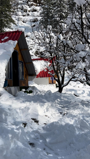 Exterior & Views 1, Last Stop Riverside wooden Huts, Camps & Dorms, Kullu