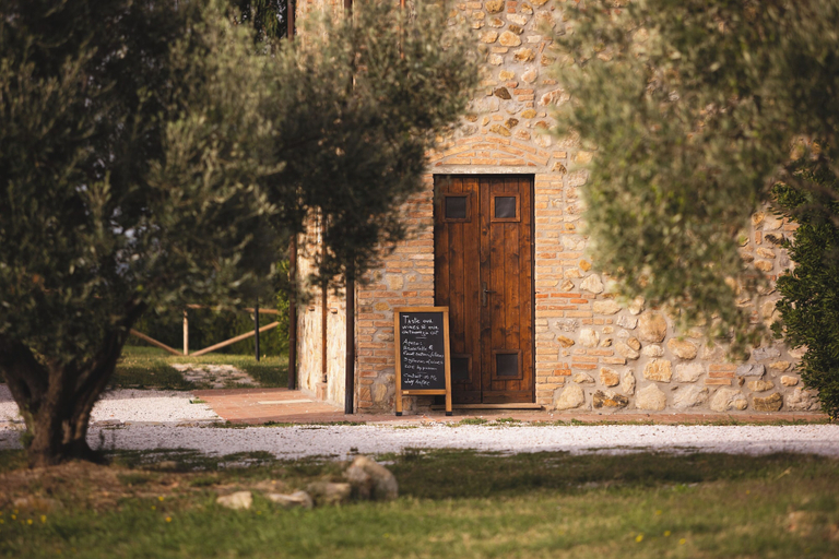 Exterior & Views 2, Le Fraine Agriturismo & Olives Glamping, Pisa
