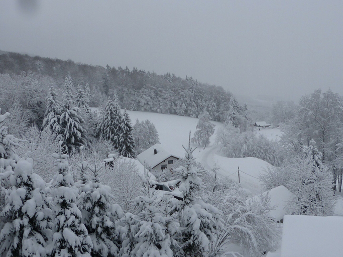View from property 4, Wohnung in Zenting mit Garten, Freyung-Grafenau