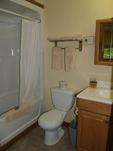 Bathroom 4, Wilson Lake Inn, Franklin